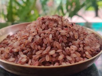 Red rice - Honest Origin Good Foodstuff Trading LLC - United Arab Emirates